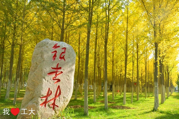 工大秋日